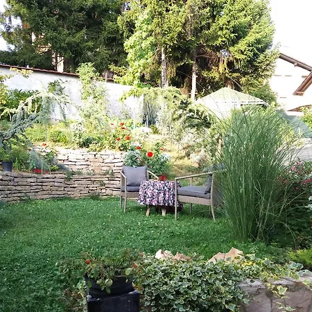 Cedar